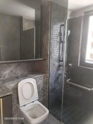 Ardmore Residence (D10), Condominium #457911401